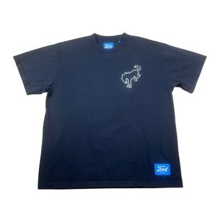 Ford x PacSun Mens Black Bronco Graphic T-Shirt XL Short Sleeve Embroidered Logo